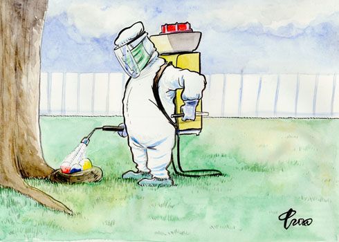 Frohe Ostern 2020 � Paolo Calleri