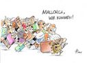 Arbeiten, wo andere Urlaub machen  Paolo Calleri
