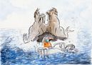 Faszination Erde: Wahlrosse  Paolo Calleri