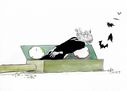 Graf Blackrock oder Die neue Regierung  Paolo Calleri
